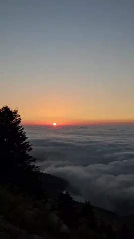 بحلم أنا بلقاه قلبي نسيته معاه إمتى الساعات تجري مش قادر أستنّاه ومنين أكون قادر وأنا قلبي مش صابر يا ريت يدوم اللقى لو بس لحظه أنساه إمتى الميعاد الجاي حستنّى تاني إزّاي وأنا قلبي مش نسّاي إزّاي حيصبر بقى الدنيا ليل ورا ليل من غيره ليلي طويل وأنا إيه اللي أعملو صابر وصبري جميل بالحب أنا هايم ولا يوم حكون نادم يا ريت يدوم اللقى ما يكونش قلبو بخيل إمتى الميعاد الجاي حستنّى تاني إزّاي وأنا قلبي مش نسّاي  إزّاي حيصبر بقى🎶♥️👑 @Georges Wassouf  . . . #WelcomeWassouf #ومشينا_يا_حبيبي #Sing_Oldies #اعادة_النشر🔃 #page_old_songs 