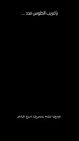 شوكت ازورك الرضا#حسين_اهات  #السيده_زينب_عليها_السلام  #ياحسين_اسمك_احسه_عايش_بنص_الدليل  #ويبقى_الحب 