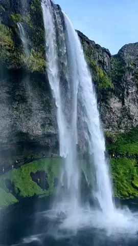 اجمل شلال في العالم #منظر منظر طبيعي 4k للقرآن فيديوهات مناظر طبيعية وحقيقية 4k فيديوهات مناظر طبيعية للتصميم قرآن مناظر طبيعية جودة عالية للحالات تصميم اجمل تصميم فيديوهات عن الهيبة والرجولة خلفيات فيديو للتصميم جاهزةقرآن بصوت يخشع القلب ترند مقطع ال 7 مليار مشاهدة صور قرآن جميله محتوى ديني اسلامي مفيد  meme original فيديوهات نصائح دينيه ترند 50 مليون 60 مليون مشاهدات إن الله وملائكته يصلون ع النبي صوت جميل