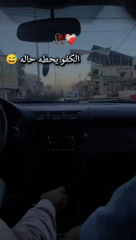 @الفنان محمد الاخرس @بشار العساف #العزابيه،طلعم،بره #ستوريات 