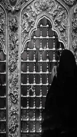 #متابعة_قلب_تعليق_مشاركة_ 