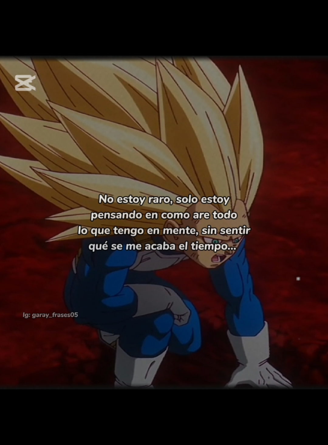 Se me acaba el tiempo #🥀 #frasesgaray #vegeta #dragonball #frasessad 