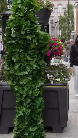 #bushman #nickxar #pranks #funnymoments