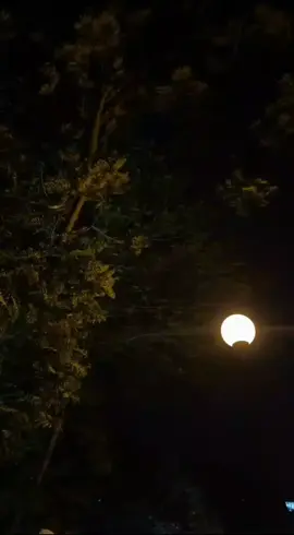 الحمدلله 😃☺️😚