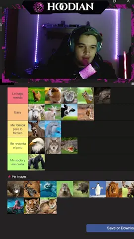 ¿A qué animales les gano 1vs1? (Parte 6) #Tierlist #Animales #Humor #1vs1
