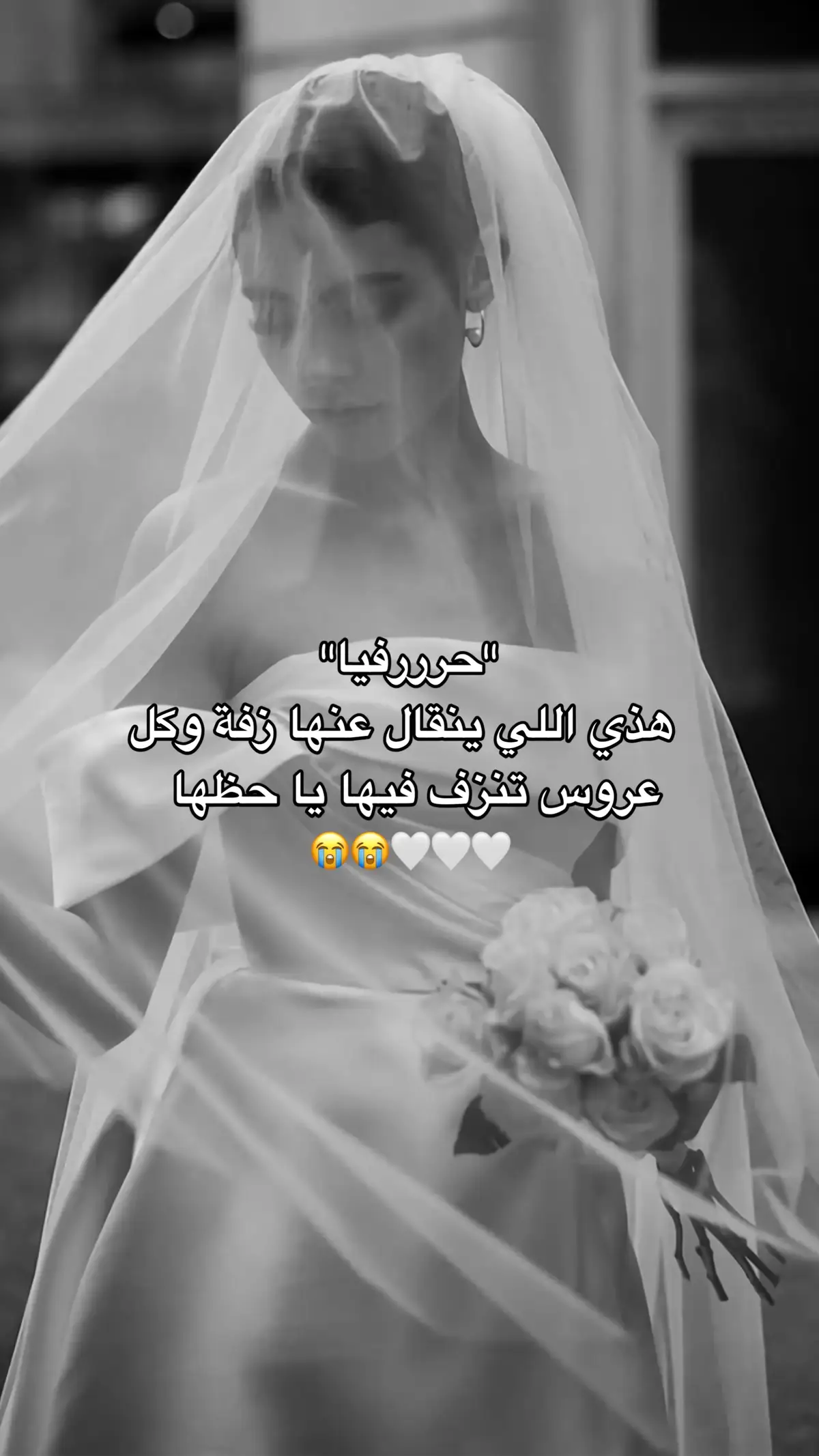 محروزه بالرحمن يا ضي داري #زفه_عروسه #زفات_ماجد_المهندس_بدون_حقوق #زفات_راشد_الماجد_بدون_حقوق #زفات_2025_محمد_عبده #زفه_بدون_موسيقى