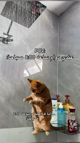 ياعيني ‏على الاستحمام✨:#بنغازي_ليبيا #ريكاشن #حمام #ليبيا🇱🇾 #Meme #MemeCut #Meme #MemeCut 