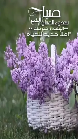 #في هذا اليوم 