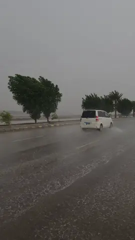 س/وين كنت يوم جاكم  المطر 🌧😅 #قبيلة_مراد_بني_سيف #تيم_مأربيين📌📌_ملوك_سبأء_  #لايك_متابعه_اكسبلور #امطار_الخير #تصويري_احترافي_الاجواء👌🏻🕊😴 