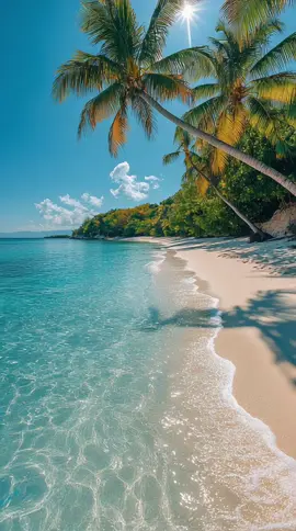 🌴 Crystal-clear waters, golden sands, and palm tree vibes… who’s ready to escape here? 🌊☀️ #DreamVacation  #BeachVibes #TropicalParadise #OceanView  #TravelGoals 