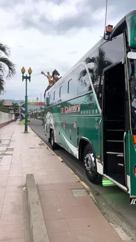 #amorxlosbuses🚍🚍 #bellezasobreruedas🔥♥ #carchi004🇨🇬 #sanjudastadeo💚 #fyppppppppppppppppppppppp 