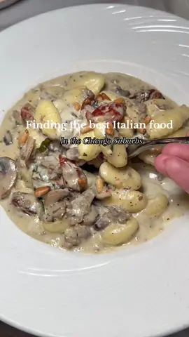 On the hunt to find the best Italian food in the suburbs! Stop number 1 is 📍 Roberto’s restaurant in elmhurst! Everything was delicious! #chicagoeats #chicagosuburbsfoodies #illinoisfoodie #illinoiseats #elmhurstfood #elmhurstny 
