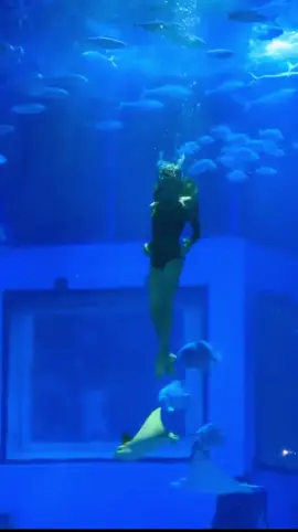 #dubai #wow #mermaid #dubaimall 