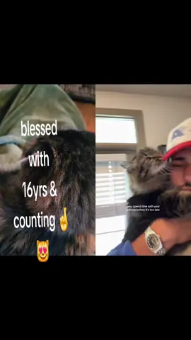 #duet with @TheRainbowElephant #fyppppppppppppppppppppppp 