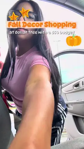 Fall Decor Shopping🍁🍂🎃 #fyp  #shopwithme  #falldecor  #dollartree  #momcontent 