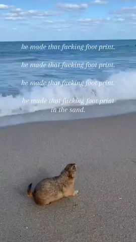 he is clearly the culprit just put them nexto eachother. #spirituality #prairiedog 