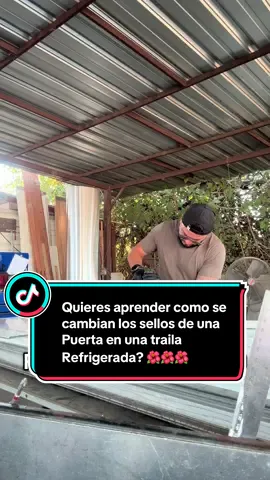 Te enseño a cambiar los sellos en una traila refrigerada 🌺🌺 solo aquí con las Florecitas de Barranco #semitruck #559 #truckdriver #trucking #truckinglife 