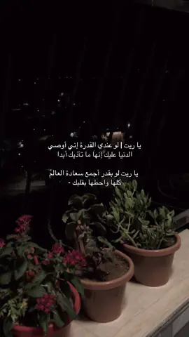 #استودعتك_الله #جنين_نابلس_طولكرم_رام_الله_فلسطين #CapCut #الشعب_الصيني_ماله_حل😂😂 #تصميم_فيديوهات🎶🎤🎬 