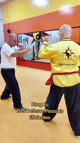 TSKF Kung Fu Equilíbrio em todos os sentidos #tskf #kungfu #chikung #artemarcial #defesapessoal