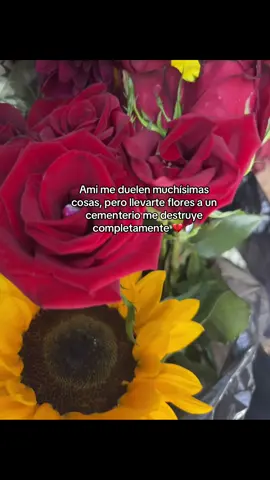 Mi mundo estaría menos roto si tu siguieras aqui 🤍❤️‍🩹🪽#fpyシ #paratii #hermanos #teextraño 