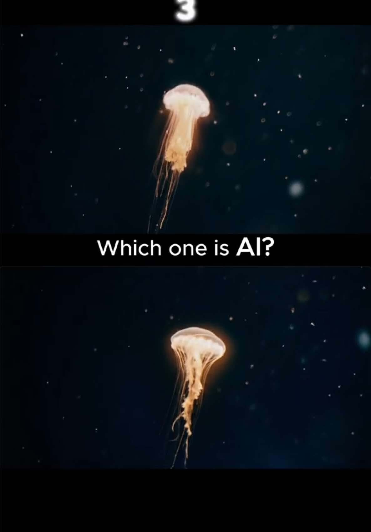 Can you spot which is which? Ai or real challenge #ai #challenge #fyp #viral #satisfyingvideo 