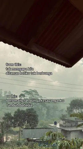 😕#lihatkebunku #tiktokindonesia #foryoupage #fyp