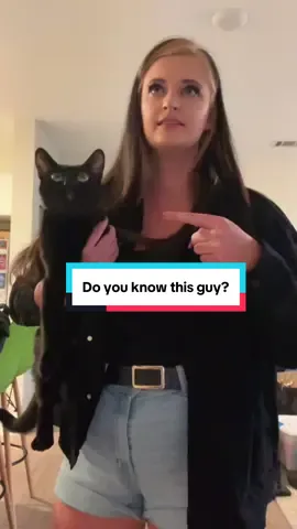 #smilingfriends #catsoftiktok #girlythings #foryou #funny