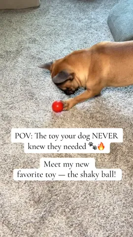 BEST. TOY. EVER. 😍 Keeps me entertained for HOURS and it’s on sale!!! #petproducts #dogtoy #toysfordogs #petshop #fyp 