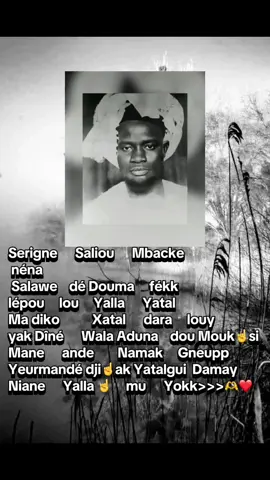 #serignesalioumbacke @Salihate ❤️à vie❤️❤️ @pape Diop Serigne saliou😭 @Aïcha Rassoul Saliou💙🤍🥰 @Sxn .Awa saliou ❤️💯❤️ @Babacar-saliou-m—a @_soxna_Mbéne_Falilou_💯🧕 @@_Lejeune_Tala @@banogaye887 @@elhadji_saliou🫶 @@𝐍𝐚𝐫𝐫𝐟𝐚𝐥𝐥#🇸🇳🇱🇷@ @🌸ndeya 🧕mou🫀saliou✂️👘 @💓sokhna💓 diarra ❤️saliou🧕 @abdou karime sene @Ami Diop @Ahmadou Bamba Diouf @ASSOCIATION Touba Moussobe 