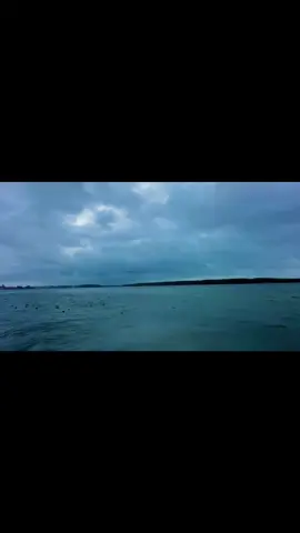 وَلَا تَرجُو السَّمَاحَةَ مِن بَخِيلٍ، فَمَا فِي النَّارِ لِلظَّمْآنِ مَاءٌ 🤍. #شريعة_ربنا_نور 