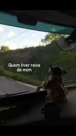 #casaltiktok #caminhaoES #cristaldecaminhoneiro #caminhoneirosdobrasil #fly 