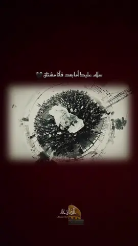 #كرار_البيضاني #سوريا #زينب #الحزن #الشام 