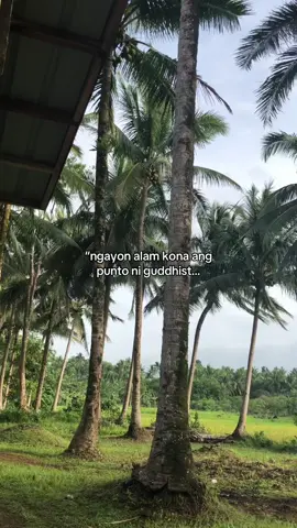 #fypシ #guddhist 