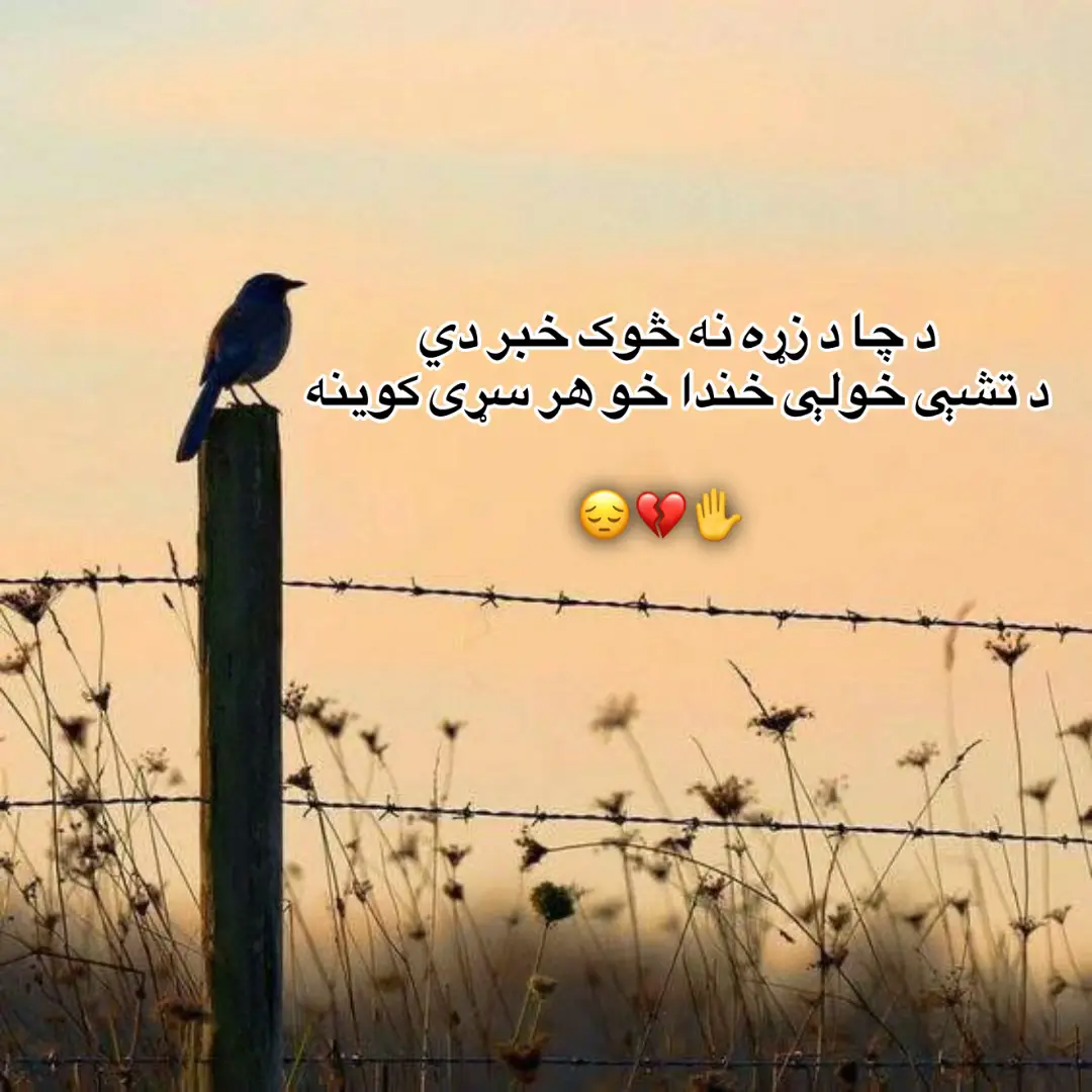 #😔💔🥀🖤 #😥💔 #videoviral #furyou #💔✋😔  @𓆩Štã Ârლàñ𓆪 