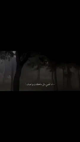 #محمد_البريكي#foryou #viral #اكسبلور #fypツ 