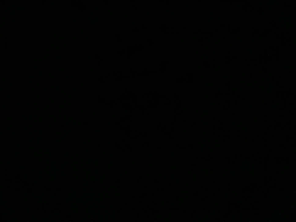 وقالو سعيده فحياتها🤍 - #اليسا #ستوريات #اغاني #fyp 