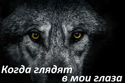 #музыка #когда глядя в мои глаза
