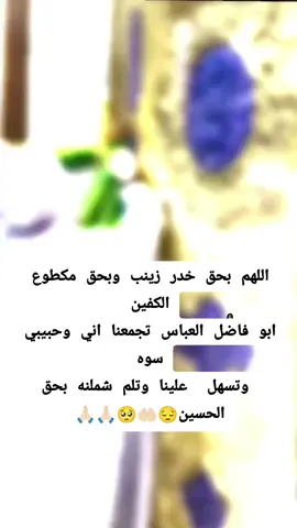 # #السلام_عليك_يا_ابا_الفضل_العباس_ع #كربلاء_مدينة_العشق_والعاشقين #تصاميم_فيديوهات #ڪـٰٚـِْربلائيۿ_🇮🇶 #العراق_ايران_سوريا_لبنان_يمن_بحرين   