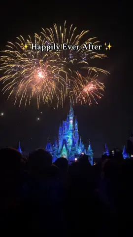 There’s just something about Happily Ever After that gets me every time 🥲 happy tears. #happilyeverafter #disneyworldfireworks #fireworks #fyp #viral 