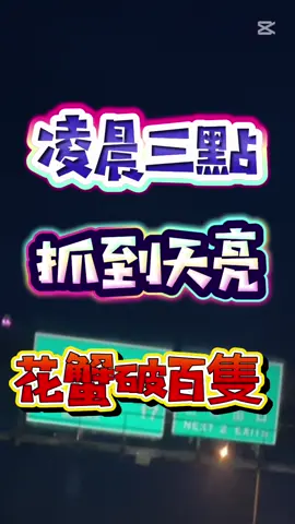 果然新點不一樣 沒人知道 感謝你們陪我們一起瘋狂😝好久沒這樣抓了   #鹽田 #流量#流量蟹 #花蟹 #台灣 