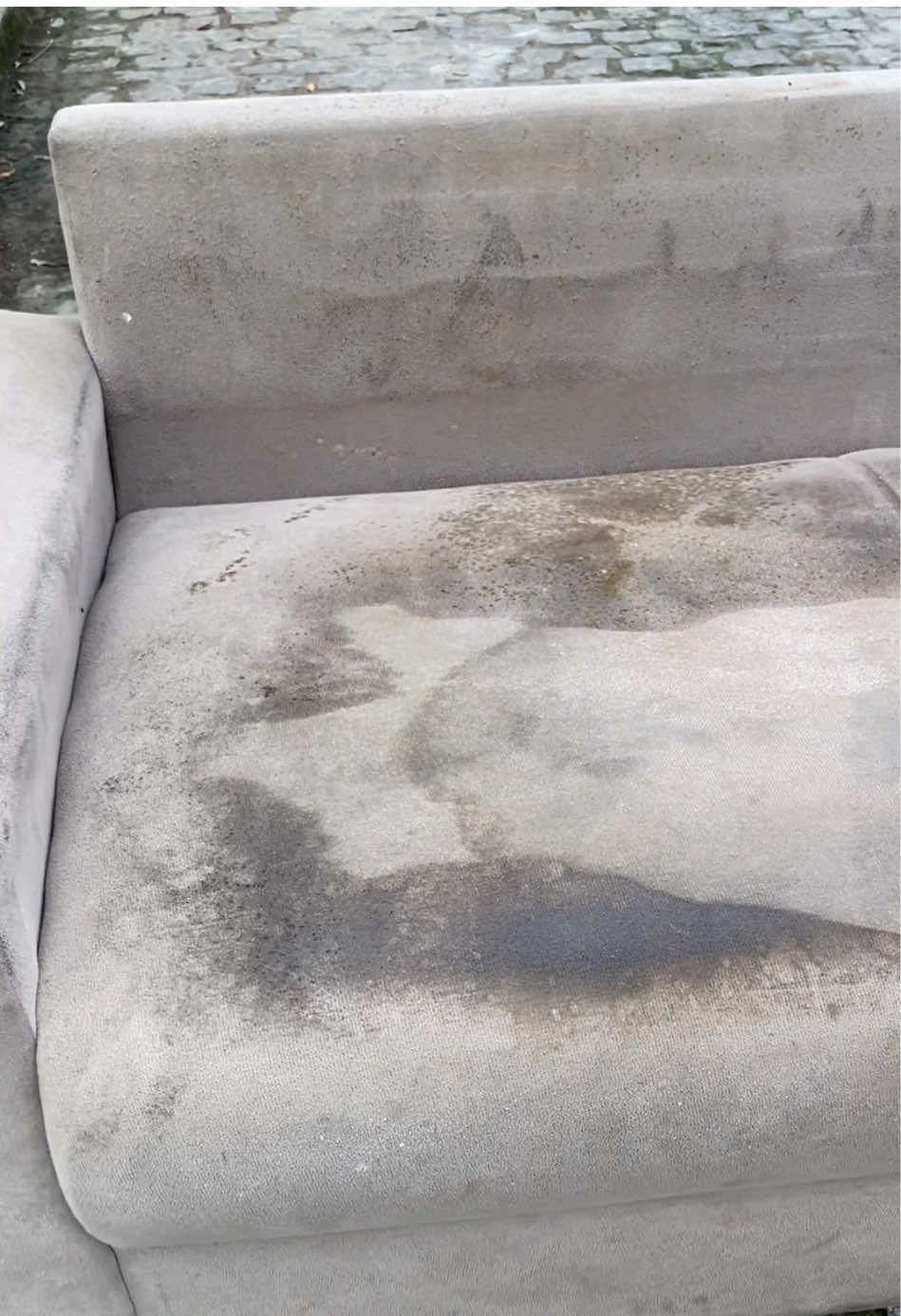 #higienizacaodeestofados #limpieza #viral #limpezadeestofados #limpezadecasa 