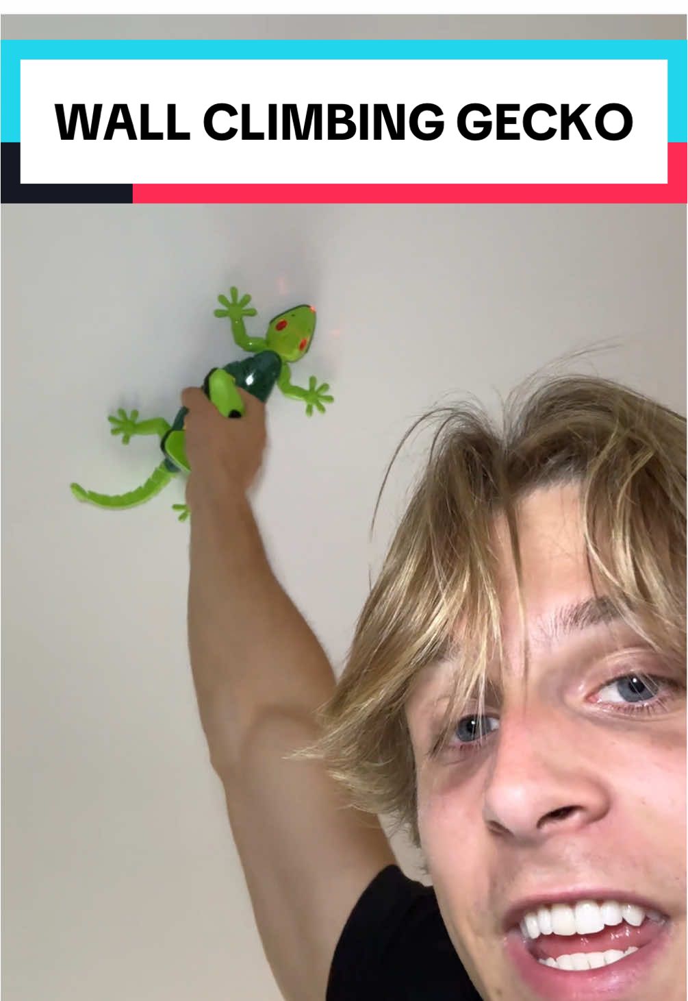 Giving this to my nephew this christmas for SURE! #gecko #wallclimbinggecko #christmas #christmasgift 