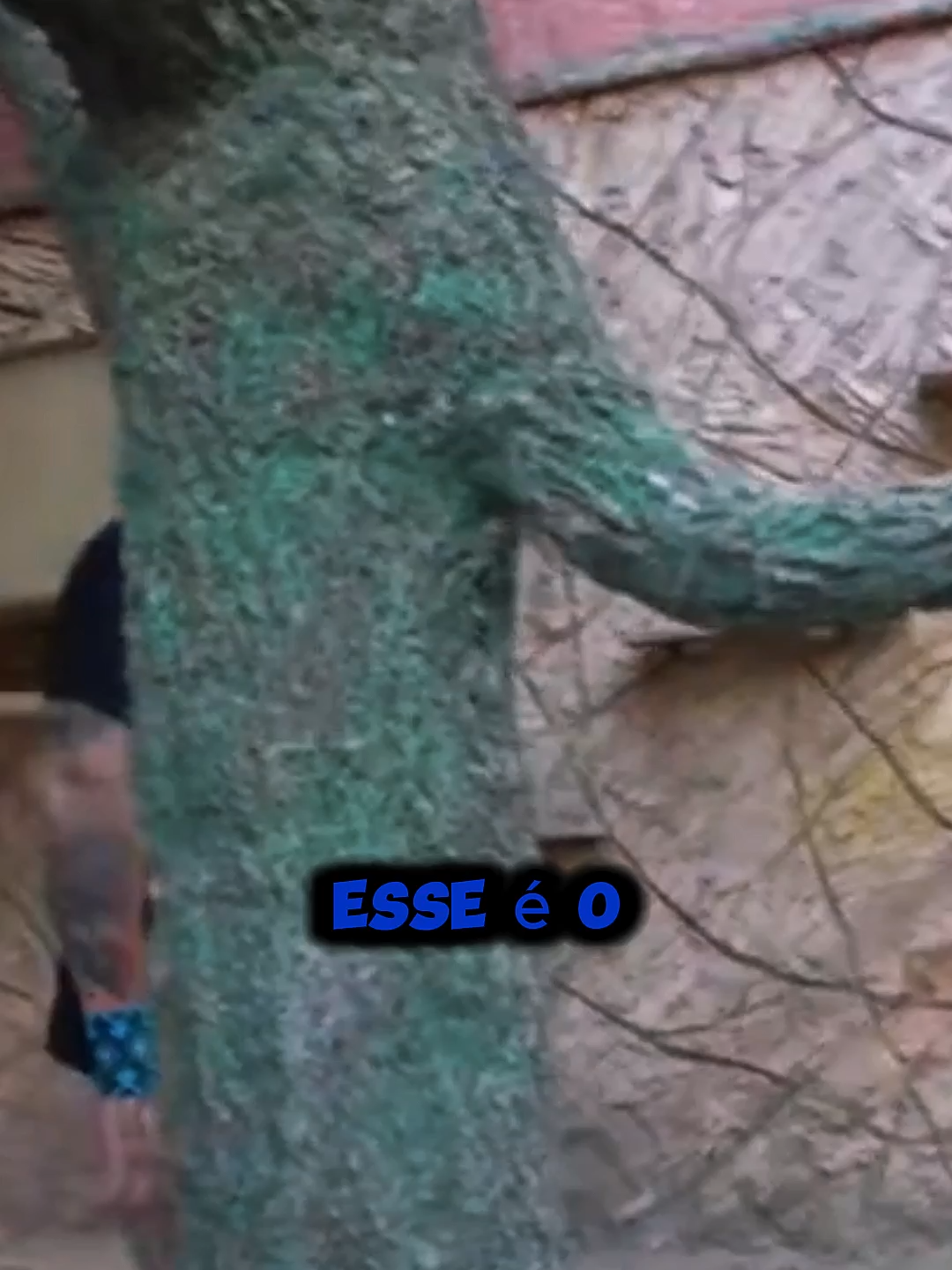 RICHARD MOSTRA SEU NOVO GATO PARA O JULIÃO!#viral #richardrasmussem #FYP