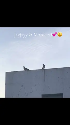 Nisenzani Mara😭🫶🏻 #jayjayy#mordecai#sama28❤🔥🔥 #explorepage #fypシ゚ @JayJayy