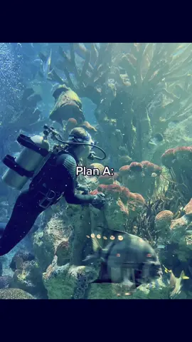 🌊MARINE BIOLOGIST🌊🦈🦭🪸🪼🌅🐳🐬🐙🦀🐠🐟.   #xyzbca #fypシ゚viral #oceanbeauty #trending #blow 