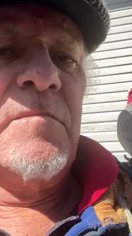 Travelling down to the crossroads… to seek the music 🎧 