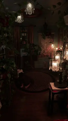 Ready for fall! The house gets even cozier 🥰 #TonightVibes #MoodyHome #CozyCorners #VintageVibes #DreamySpaces #MoodyRomantic #PlantLover #HomeAesthetic #Dreamyhouse #Home #victorianaesthetic #darkacademiaaesthetic #candles 