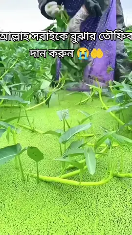 😭😭😭🤲🤲🤲