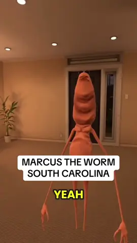 Why did he delete South Carolina?! 😭😭 #marcusvrchat #vrchat #marcusedits #marcusvr #fyppp 