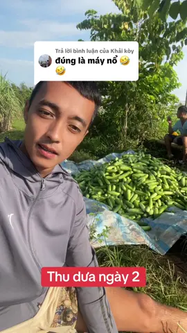 Trả lời @Khải kòy #tiktoklive #truyềndônglưc #farm #nông #xuhuong 